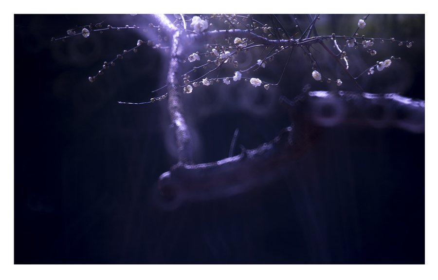 三亿体育手机版