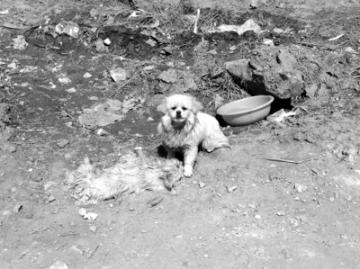 消消乐海滨假日攻略 开心消消乐姐妹篇攻略大全“三亿体育手机版”(图1) 三亿体育手机版