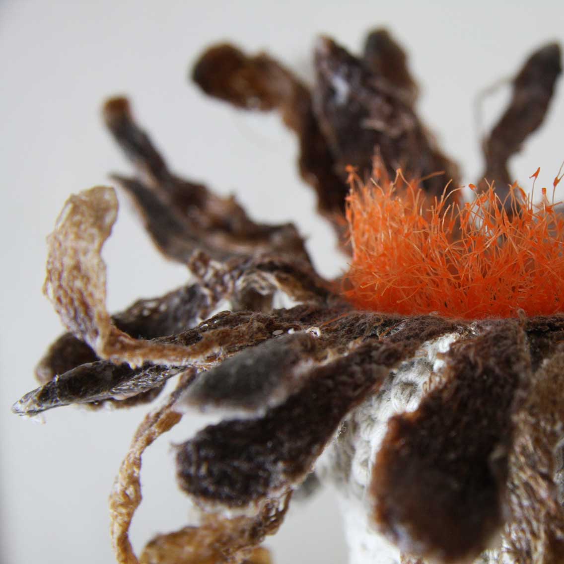 【三亿体育官网】球球大作战炫光干得漂亮获取方法 干得漂亮炫光图鉴(图2) 三亿体育