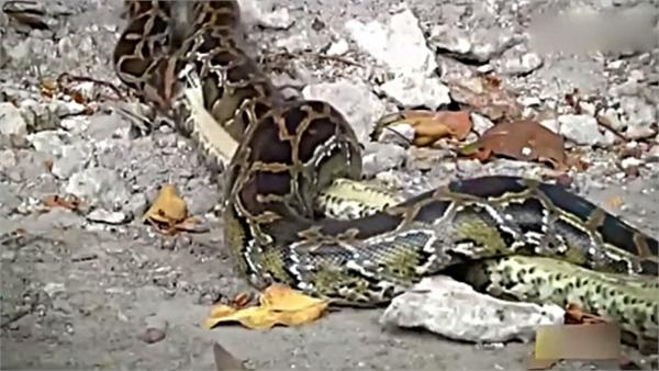 三亿体育手机版