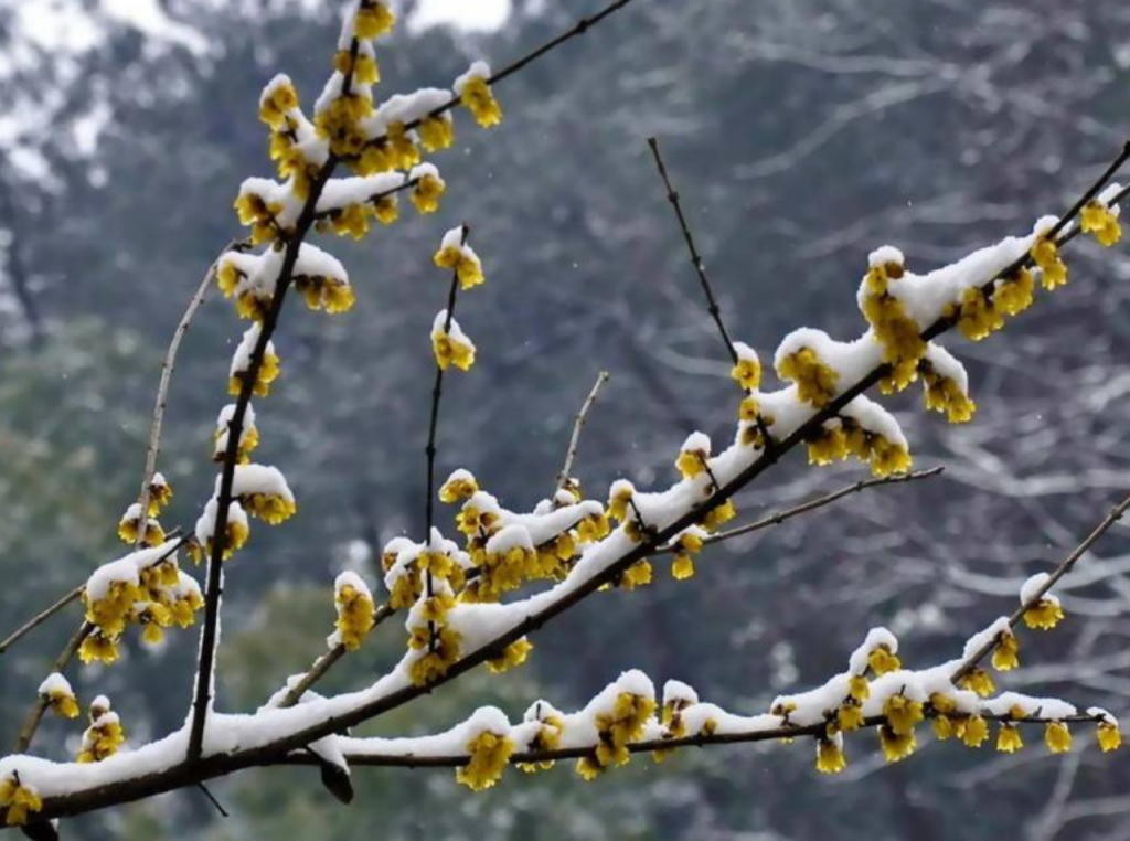 三亿体育手机版