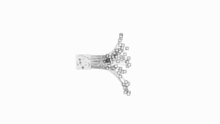 三亿体育手机版