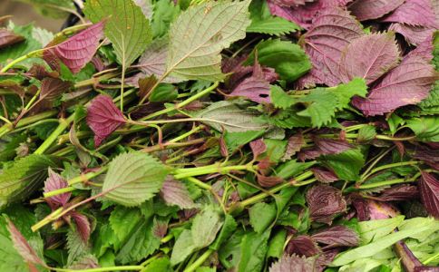 中国巨型的90亿英镑水电站,高度几乎是尼加拉瓜大瀑布的6倍_三亿体育手机版(图4) 三亿体育手机版